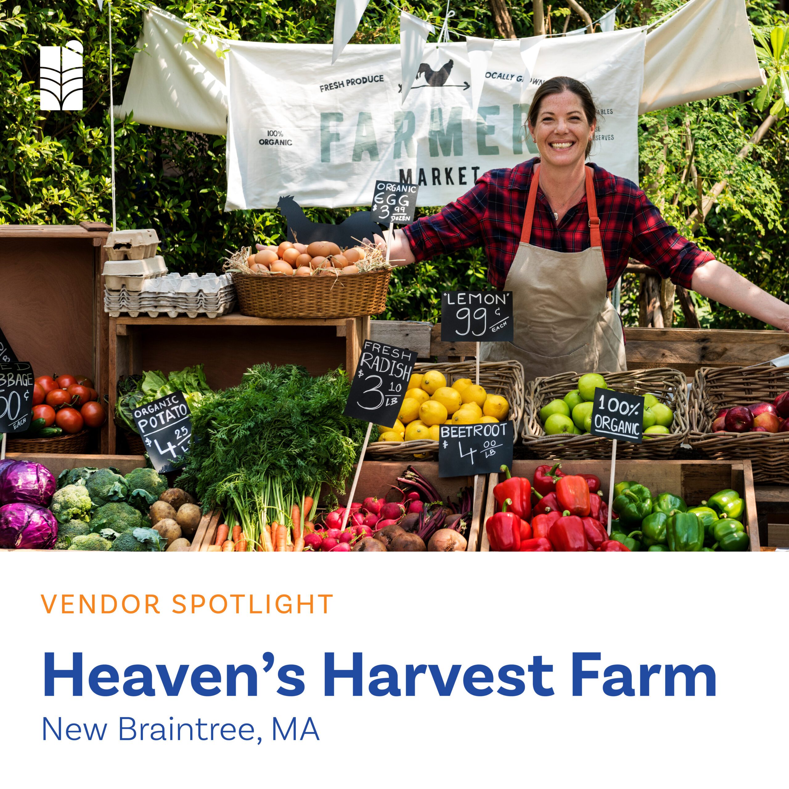 Vendor Spotlight