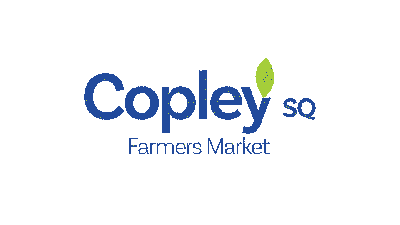 CFM Logotype Animation